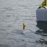 Ducky!
