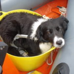 Jack in the anchor bucket!